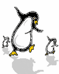 pic for Dancing Penguin
